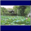 Hamble Administrators Garden Suchzhou China 2003