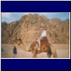 Riding on Camels Desert SharmElSheikh 2003